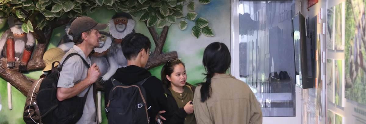 Visitors at the red-shanked douc display before the forest walk, Sơn Trà.