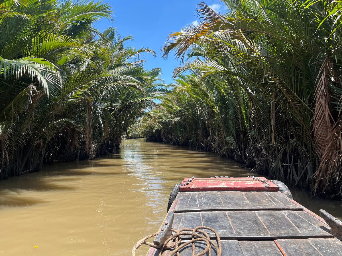 A boat on a narrow canal lined with nipa palms in Bến Tre.