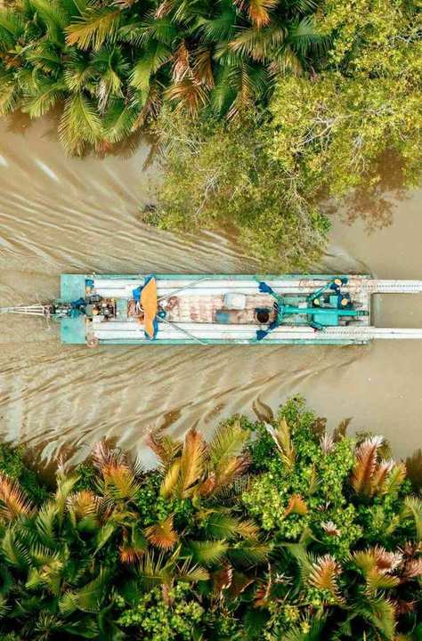 A boat passes between nipa palms.